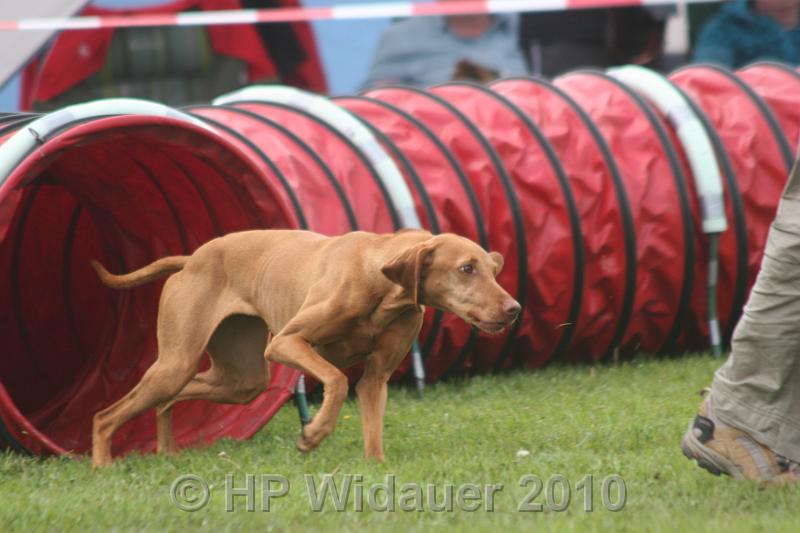 Haag2010 149.jpg